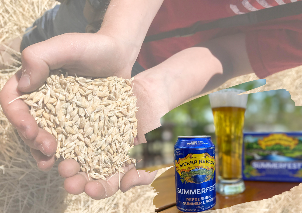 Sierra Nevada&rsquo;s Summerfest supports regenerative agriculture and resource conservation